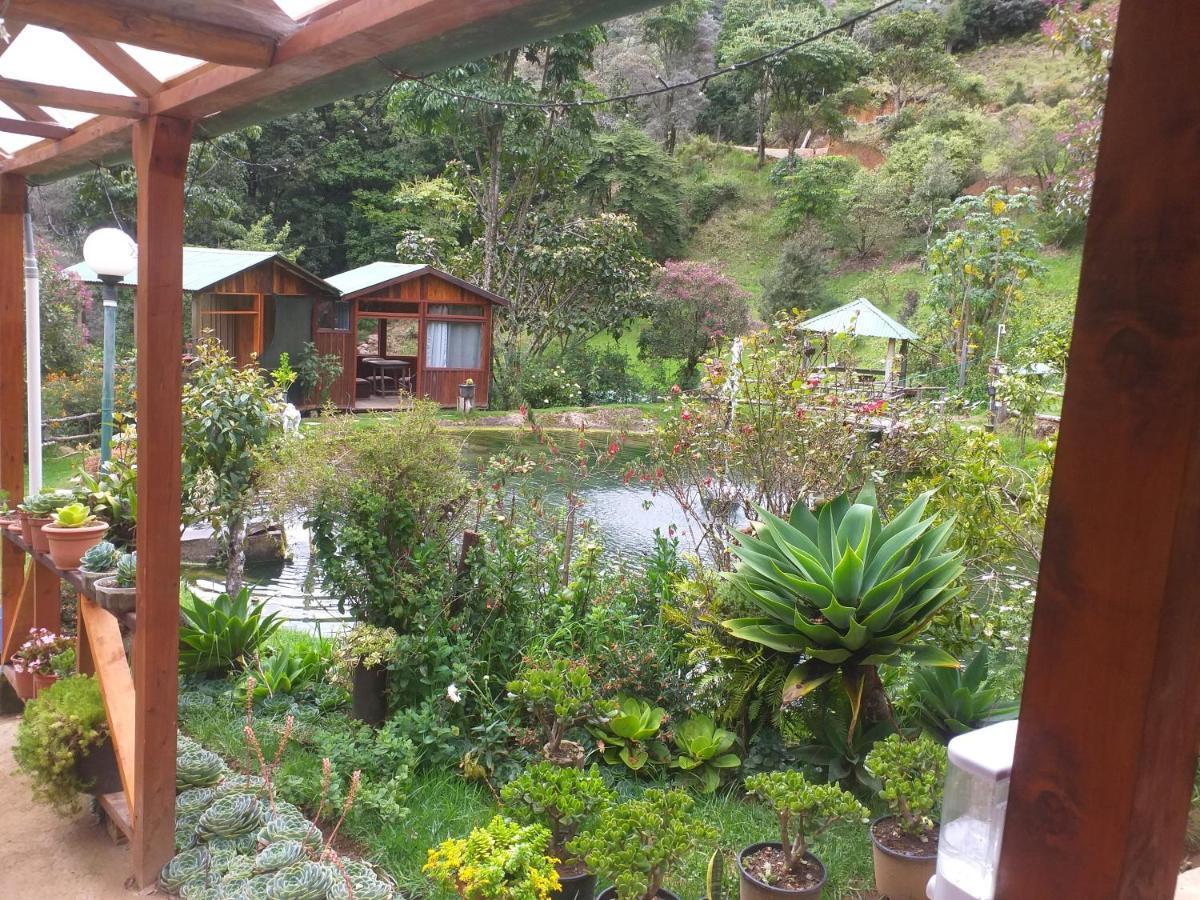 Las Cataratas Lodge San Gerardo de Dota Eksteriør bilde