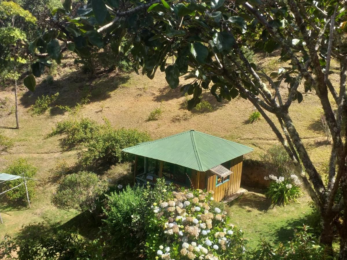 Las Cataratas Lodge San Gerardo de Dota Eksteriør bilde
