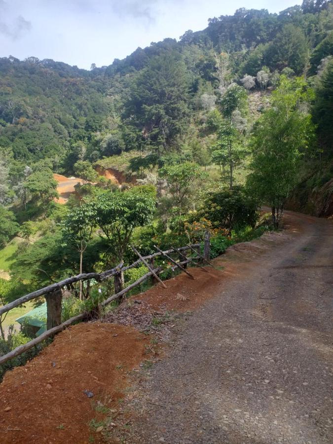 Las Cataratas Lodge San Gerardo de Dota Eksteriør bilde