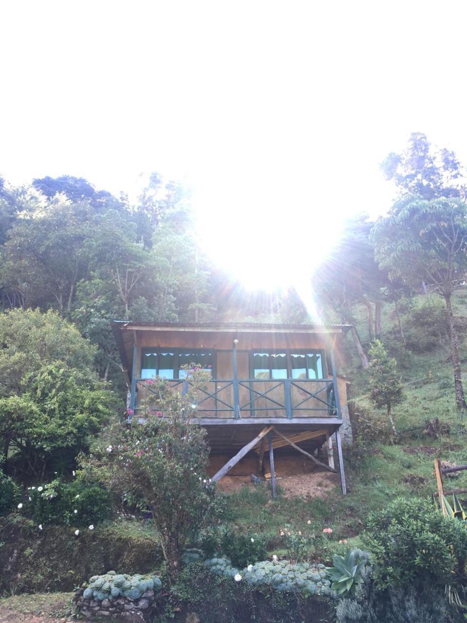 Las Cataratas Lodge San Gerardo de Dota Eksteriør bilde