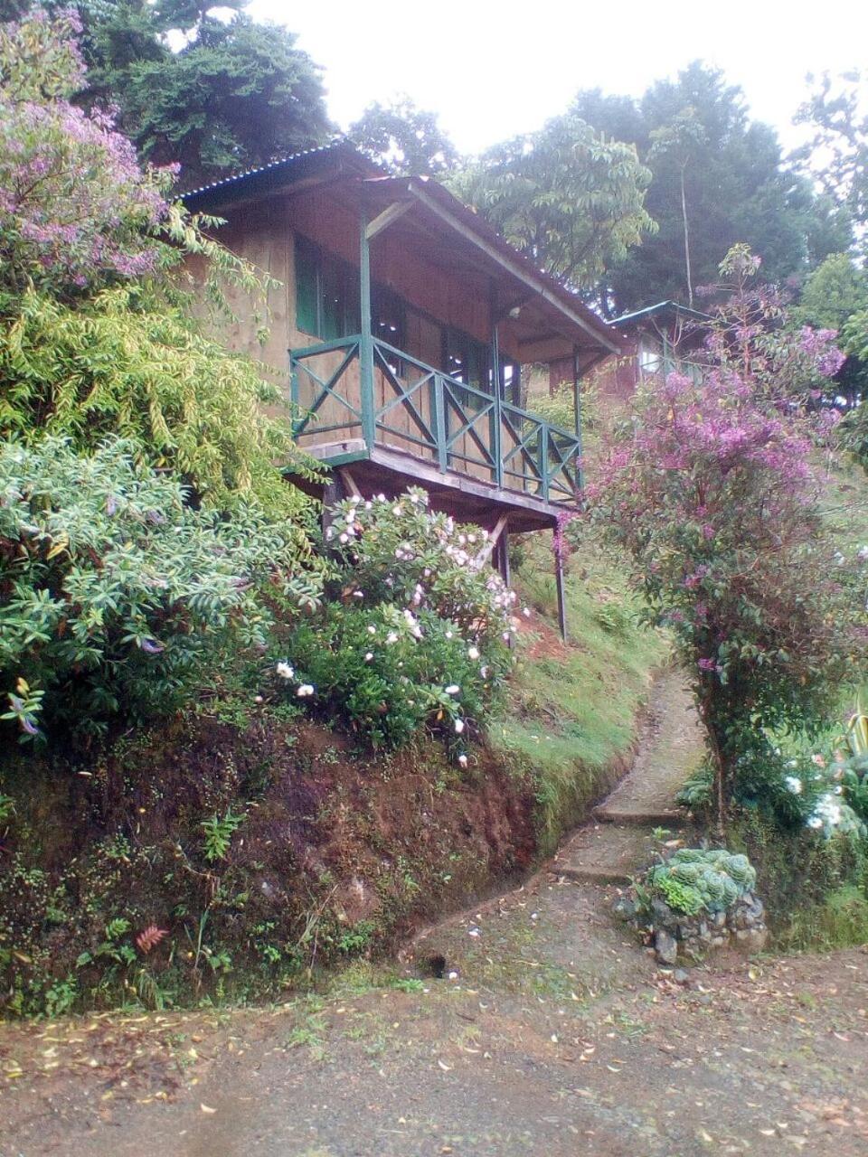 Las Cataratas Lodge San Gerardo de Dota Eksteriør bilde